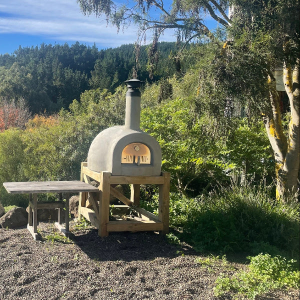 Wood-fired pizza oven in a natural setting with trees and blue sky.